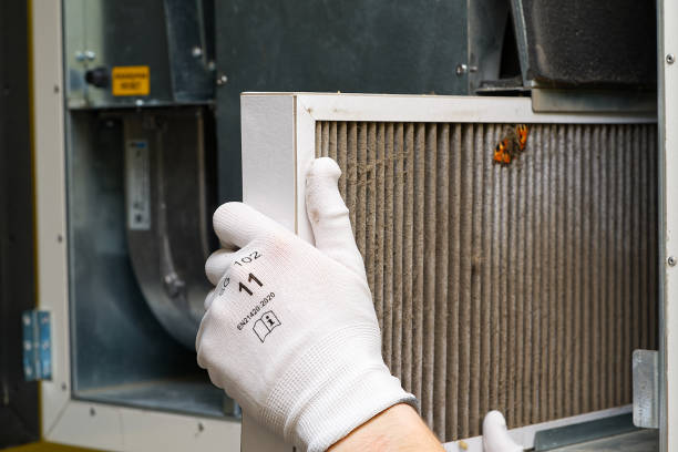 Best Professional Duct Cleaning Services  in Hawaiian Ocean View, HI